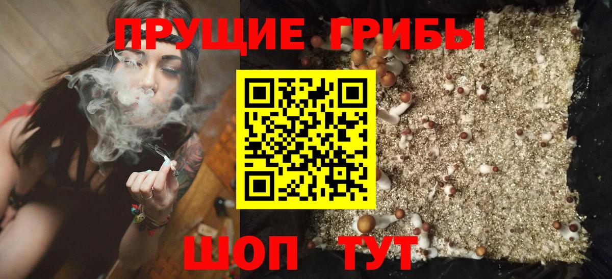 Туапсе  где найти   Вход с VPN  Псилоцибиновые грибы Psilocybine cubensis 
