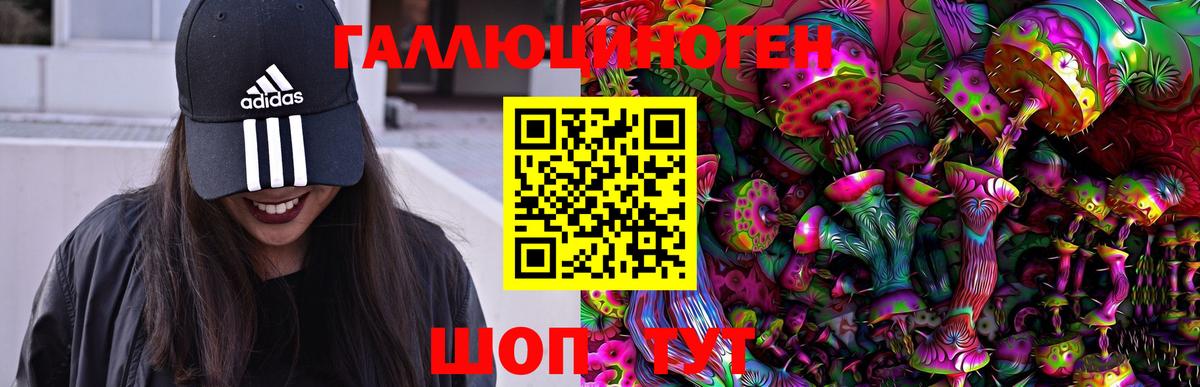 Псилоцибиновые грибы Magic Shrooms Туапсе